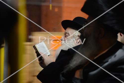 הויי החיים בירושלים
