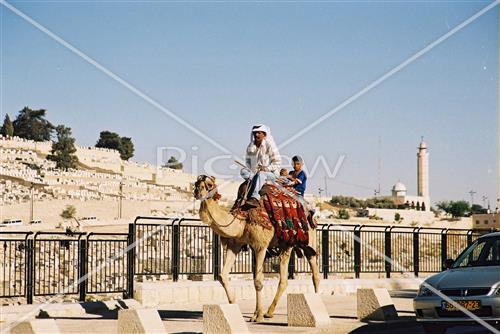 הויי החיים בירושלים