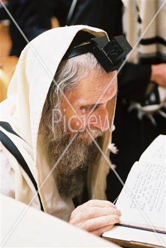 Rabbi Aharon Yehuda Leib Shteinman