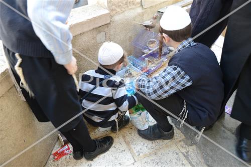 The life in Jerusalem