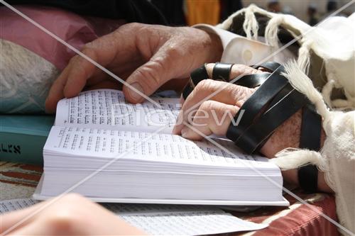 Tefillin