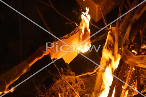 Bonfires Lag Ba'Omer