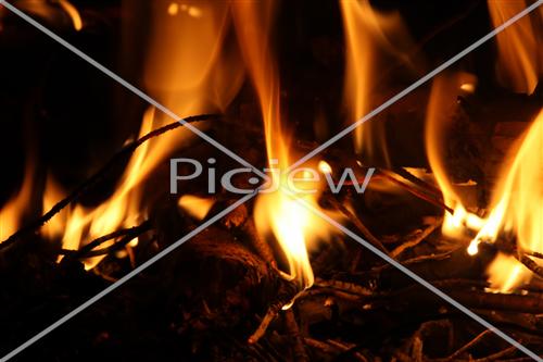 Bonfires Lag Ba'Omer