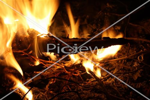 Bonfires Lag Ba'Omer