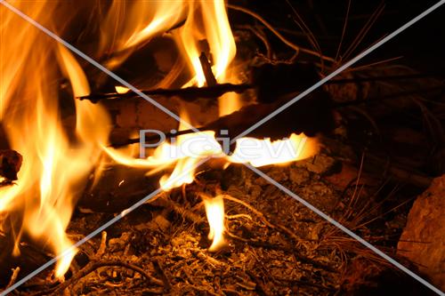 Bonfires Lag Ba'Omer