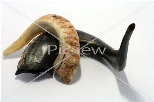 Shofar