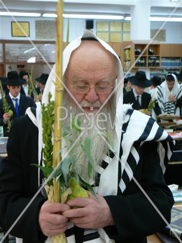 Rabbi Refael Shmuelwitz