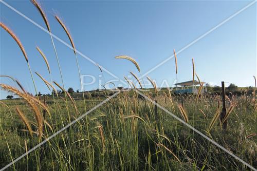 קבר רבי יוסי דמן יוקרת