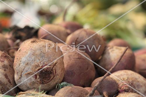 Tu Bishvat