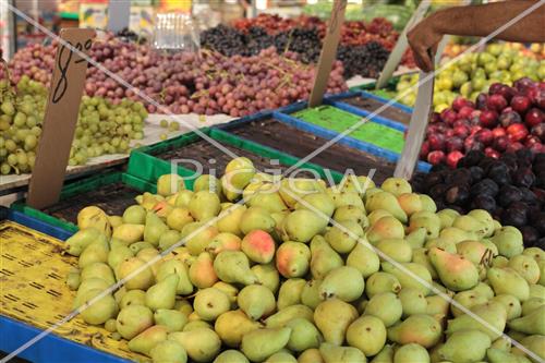 Tu Bishvat