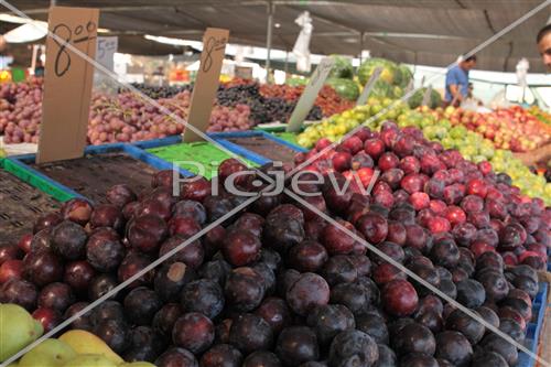 Tu Bishvat