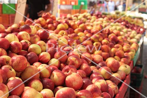 Tu Bishvat