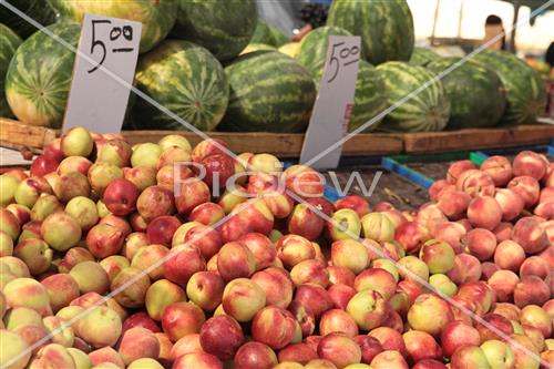 Tu Bishvat