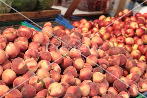 Tu Bishvat