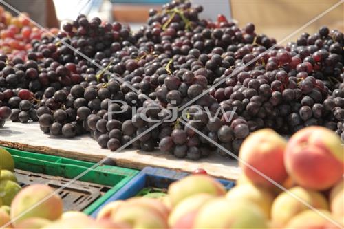 Tu Bishvat