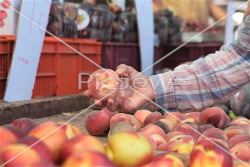 Tu Bishvat