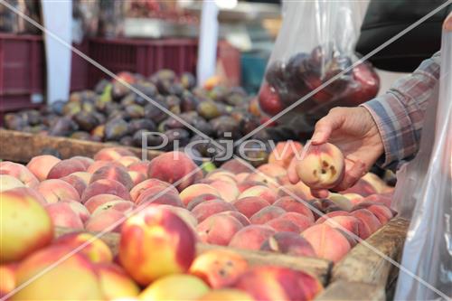 Tu Bishvat