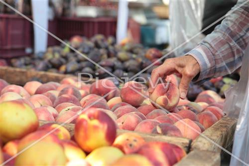 Tu Bishvat