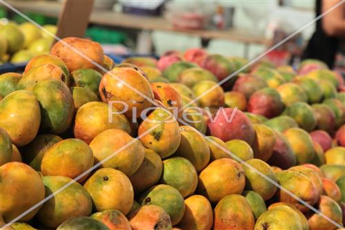 Tu Bishvat