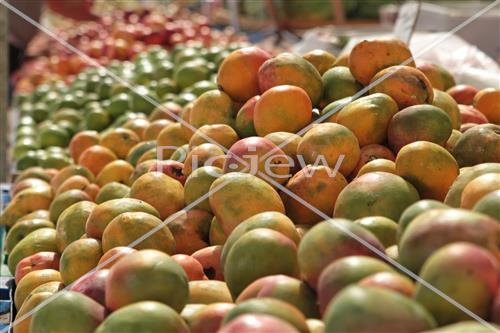 Tu Bishvat