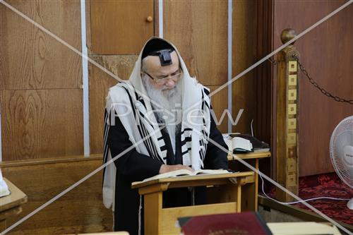 Rabbi David Yaffe