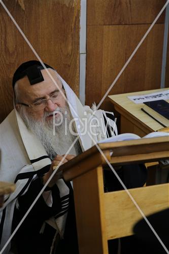 Rabbi David Yaffe