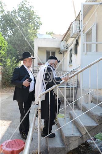 Rabbi David Yaffe