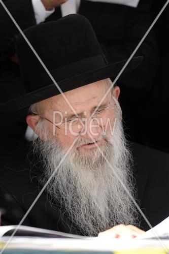 Rabbi David Yaffe