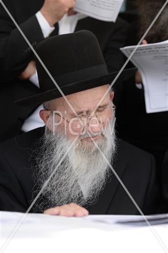 Rabbi David Yaffe