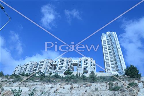 הולילנד