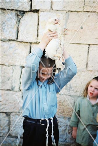 מנהג הכפרות