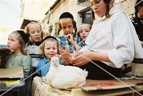 מנהג הכפרות