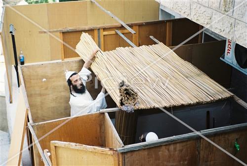 בניית סוכה