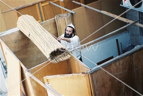 Building a Sukkah