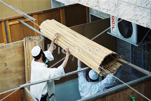 Building a Sukkah