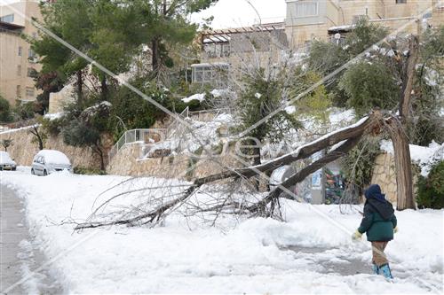 Jerusalem snowy