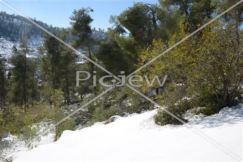 Jerusalem snowy