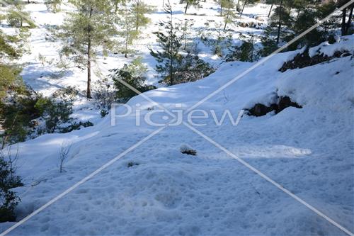 Jerusalem snowy