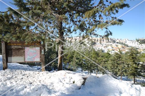 Jerusalem snowy