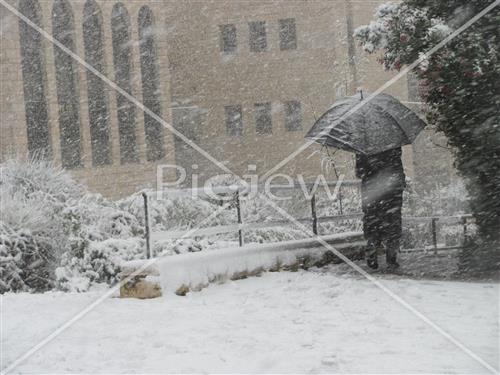 Jerusalem snowy