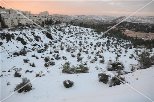 Jerusalem snowy