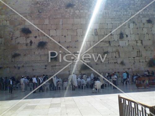 the Kotel at Morning