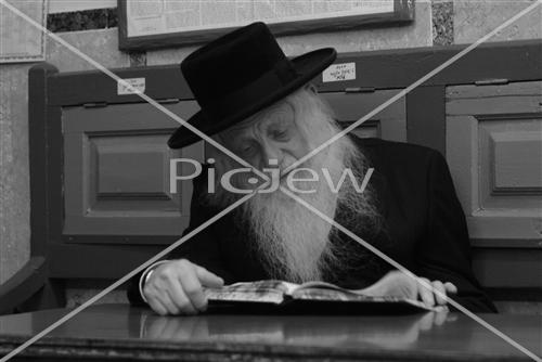 Rabbi Davidowitz