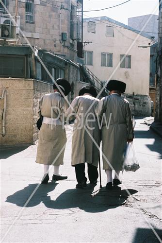 הרב דוידוביץ