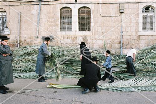 Sukkah