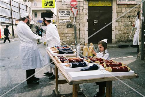 Torah Scrolls