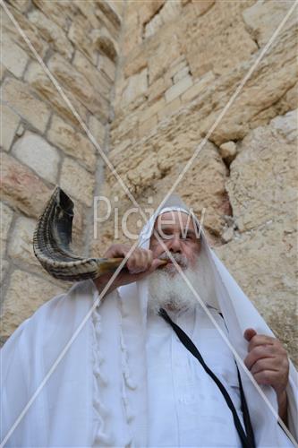 תקיעה בשופר