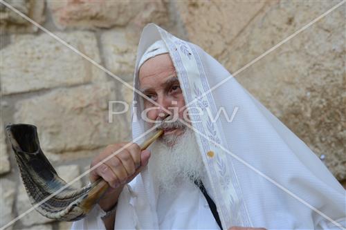 תקיעה בשופר