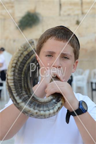 shofar