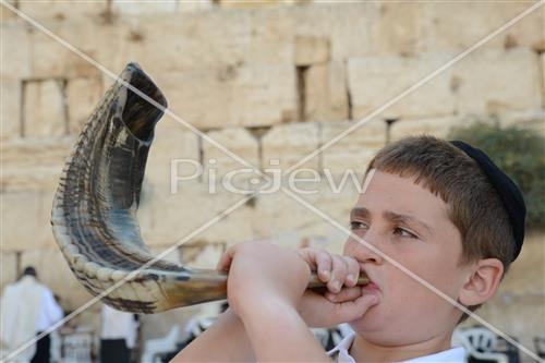 shofar